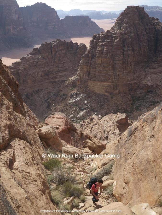 Wadi Rum Backpacker Camp Exteriér fotografie